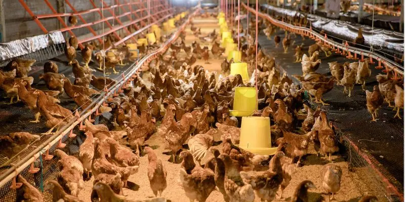 Có thể điều chỉnh yếu tố ánh sáng bằng hệ thống đèn