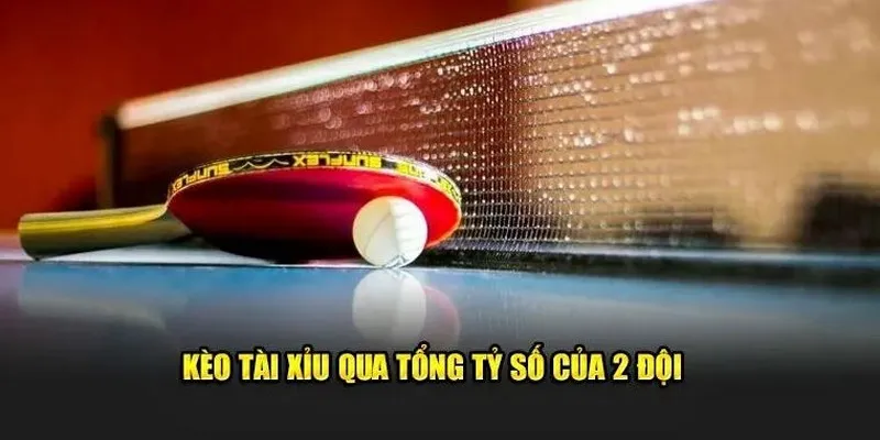 Cá cược bóng bàn cung cấp hàng trăm lựa chọn hấp dẫn
