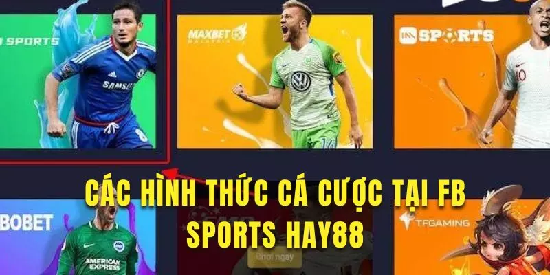 Tham khảo hình thức cá cược của FB SPORTS tại Hay88